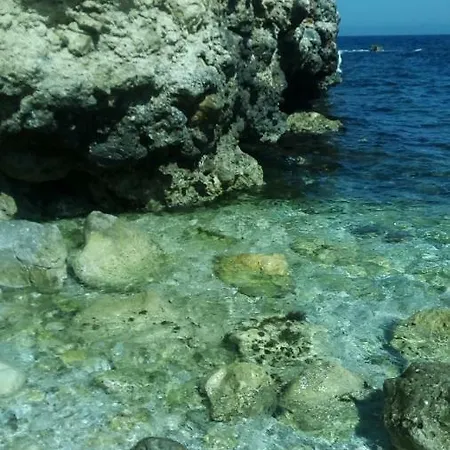 Adrina Trapani